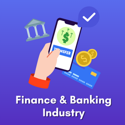 finance & Banking Industry